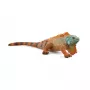 Schleich WILD LIFE Iguana multicolor 14854 Vârstă recomandată 3 ani