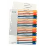 Index cu file numerice Leitz 12960000 din polipropilenă (PP), multicolor