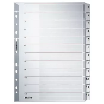 Index cu file Leitz 43250000 numeric, carton, gri