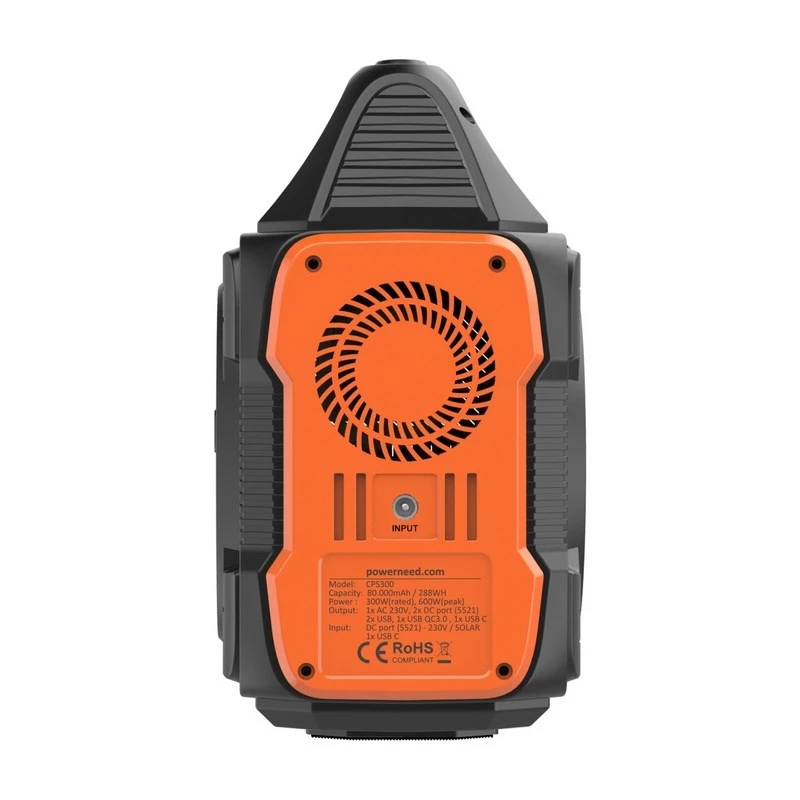 Panou solar PowerNeed CPS300 300 W