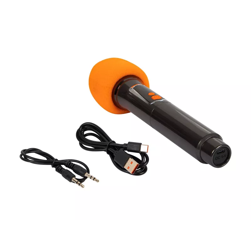 Boxă karaoke Infinity 10 inch