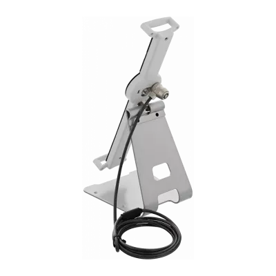 Carcase de securitate pentru tablete