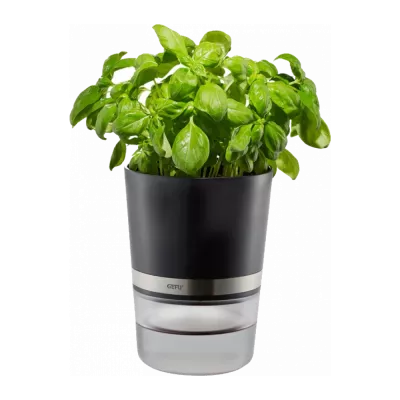 Ghivece pentru plante aromatice