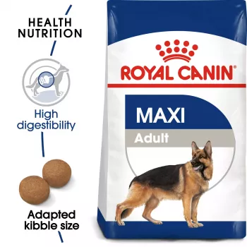 Royal Canin SHN Maxi Adult, hrană uscată pentru câini, 4 kg