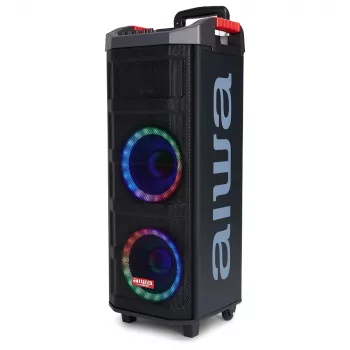 AIWA Power Audio boxă KBTUS-608 600W