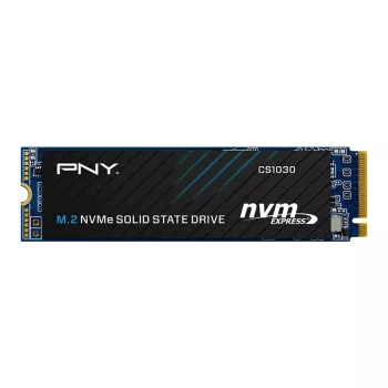 PNY CS1030 256 GB M.2 2280 PCIe NVMe Gen3 x4 SSD intern (Bulk)