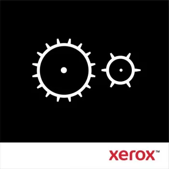 Xerox VersaLink C7000 Bandreiniger (200 000 pagini)