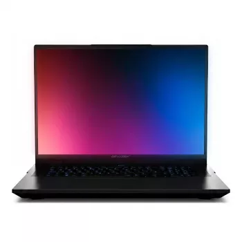 MEDION Erazer Beast 18 X1 MD62729 Laptop gaming 18 inch QHD+ Intel Core Ultra 9 275HX 64 GB RAM 4 TB SSD RTX 5090 Windows 11 Home