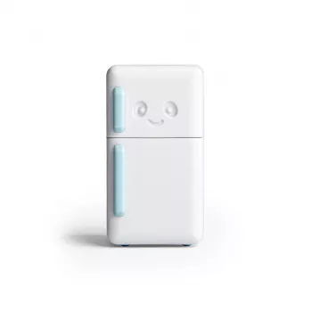 Deodorizant pentru frigider OTOTO Cool Guy cu absorbție a mirosurilor