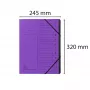 Exacompta Mapă cu compartimente 12 compartimente violet Colorspan