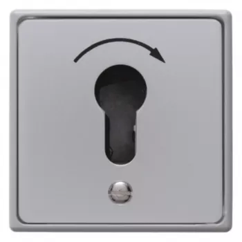 Hager WDE4450 Întrerupător cu cheie îngropat pentru semicilindru profilat turnat IP44 1 contact NO