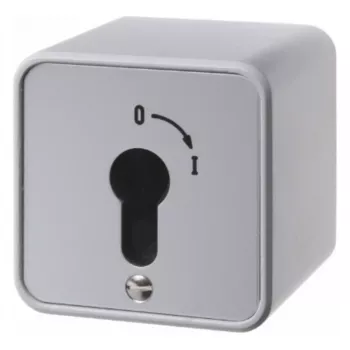 Hager WDE4466 Întrerupător cu cheie de suprafață pentru semicilindru profilat zinc turnat IP54