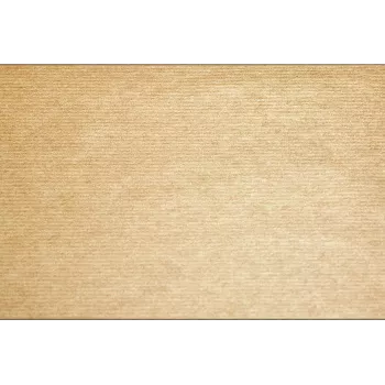PROnappe 500 seturi de masă Tiss lăcuit natur 30,0 x 40,0 cm