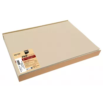 PROnappe 100 Placemats Brown 30.0 x 40.0 cm