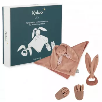 Set cadou Kaloo Lapinoo Rabbit K218012 Brick