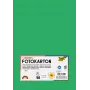 Folia 614/50 54 - verde - uni - A4 (210 x 297 mm) - 300 g/m² - 50 foi - Germania