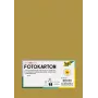 Folia 614/50 65 - Auriu - Culoare uni - A4 (210 x 297 mm) - 300 g/m² - Mat - 50 file