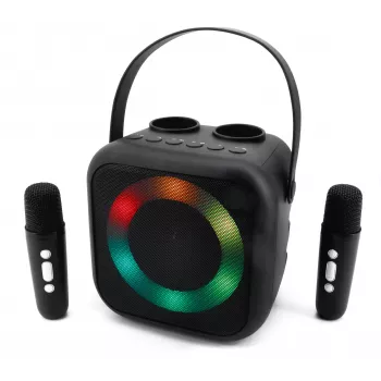Soundmaster BT2024SW Bluetooth speaker, disco light, 2 microphones, black