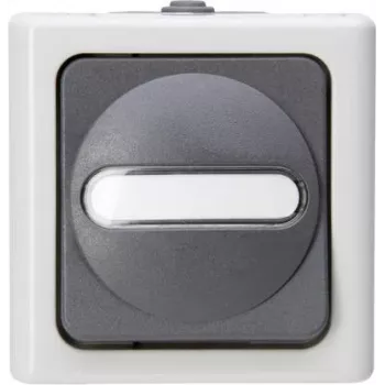 Comutator cruce montaj aparent pentru mediu umed Heinrich Kopp BLUE ELECTRIC gri 10A 250V IP44