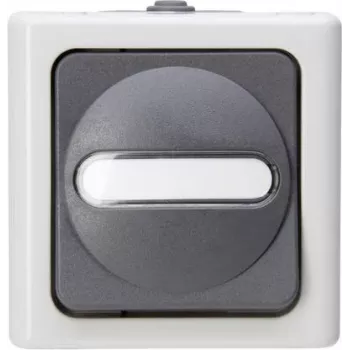 Întrerupător cu buton Heinrich Kopp 1P gri/alb termoplast IP44 78mm