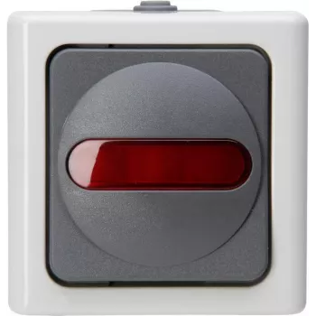 Întrerupător cu tastă Heinrich Kopp 561656007, gri/alb, termoplast, IP44, 10A, 250V