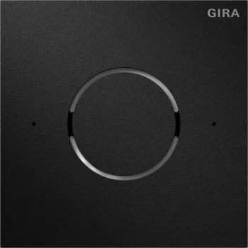 Modul vocal Gira 5592925 IP System 106 negru mat