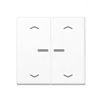 JUNG Home Buton 2 circuite Bluetooth AS 17102 P WW