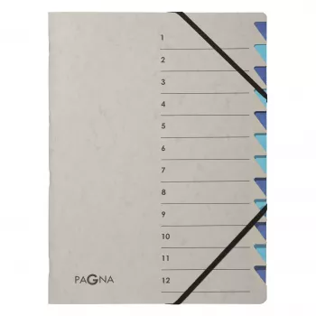 Mapă de ordonare Pagna 44312-02, 12 compartimente, A4, gri