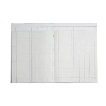 Registru pe coloane KOENIG & EBHARDT A4 4 coloane 32 rânduri 80 file 160 pagini liniat verde legat cu fir
