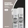 Spray lubrifiant mecanic Teslanol 200 ml