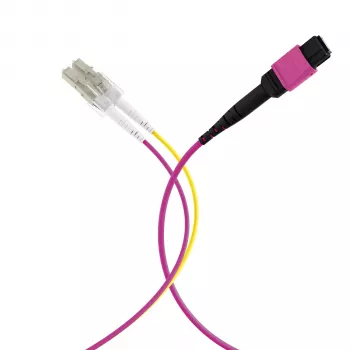 EFB ELEKTRONIK Cablu trunk MPO-PLUS(F)-LC OM4 8 fibre tip B LSZH violet erica 5m