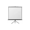 Ecran de proiecție pe trepied Reflecta Crystal-Line 240x240 cm alb mat