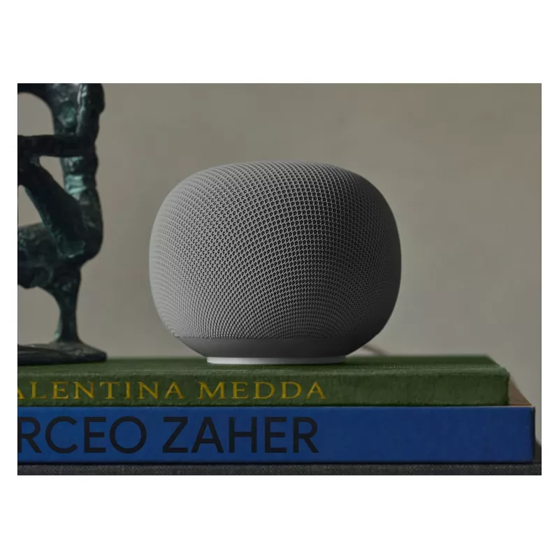 Boxă Google Home Hazel EU