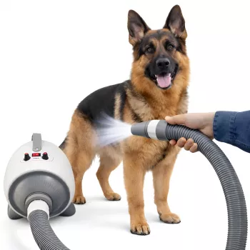 Suflantă și uscător pentru îngrijirea animalelor MOZOS XB2-PRO, 2100 W, gri/alb