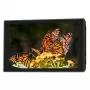 Monitor Portkeys HD7T 7 inch 2200 cd/m² IPS On-Camera cu 3D LUT
