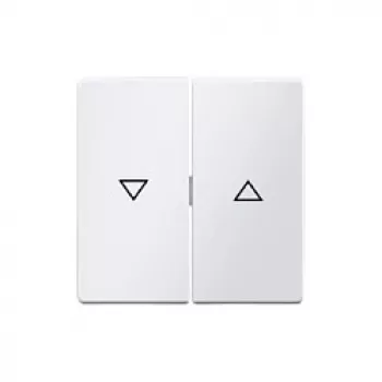 Berker 16256089 Buton basculant cu simbol săgeată, alb polar mat