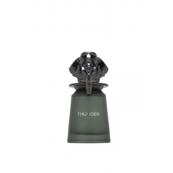 FRENCH AVENUE Thunder apă de parfum spray 100ml