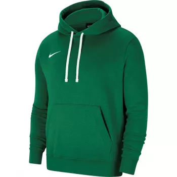 Hanorac Nike Team Club 20 pentru bărbați, Pine Green/alb