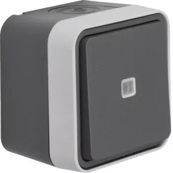 Hager WNC003 Întrerupător dublu de control cu lampă de control, montaj aparent, IP55, gri
