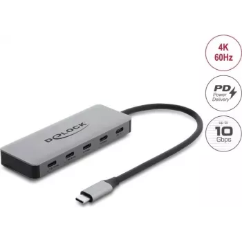 Delock Hub USB 2 porturi 10 Gbps cu 2 porturi USB-C 4K și PD 3.0 100 W