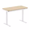 Birou reglabil pe înălțime LogiLink, motor unic, 118x60cm, cu încărcare wireless, alb