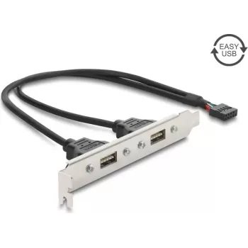 Suport de slot Delock USB 2.0 cu 2 x porturi EASY USB Type-A