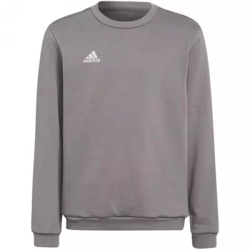 Hanorac adidas Entrada 22 Sweat Top pentru copii, gri, H57477 (116 cm)