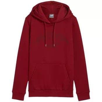 Hanorar PUMA Essentials+ Logo LAB FL bărbați, bordo, mărimea L