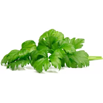 Capsule pentru plante Click & Grow țelină de frunze pentru Smart Garden, 3 buc. (SGR97X3)
