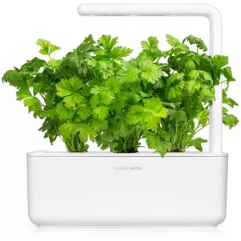 Capsule pentru plante Click & Grow țelină de frunze pentru Smart Garden, 3 buc. (SGR97X3)