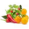 Capsule pentru plante Click & Grow mix de fructe și legume pentru Smart Garden, 9 buc. (PPMFVX9)