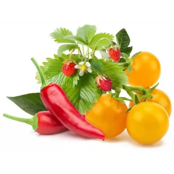 Capsule pentru plante Click & Grow mix de fructe și legume pentru Smart Garden, 9 buc. (PPMFVX9)