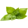 Capsule de plante busuioc lămâie Click & Grow pentru Smart Garden, pachet de 3 (SGR76X3)