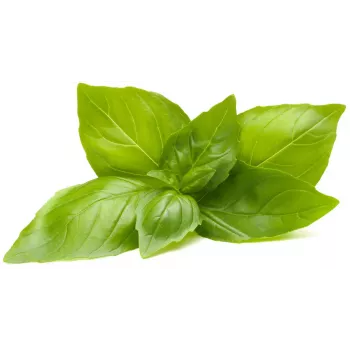 Capsule de plante busuioc lămâie Click & Grow pentru Smart Garden, pachet de 3 (SGR76X3)